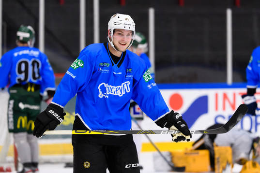 Anton Blidh, Boston Bruins
