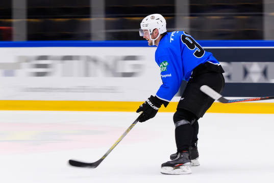 Anton Blidh, Boston Bruins