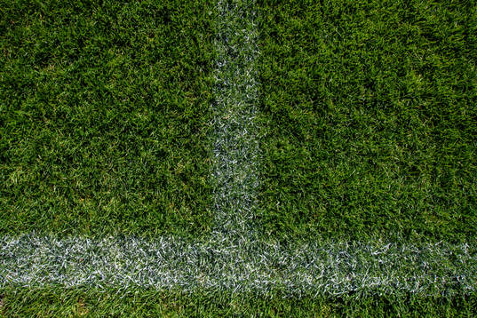 View of the grass at Olympia as the coronavirus, COVID-19,