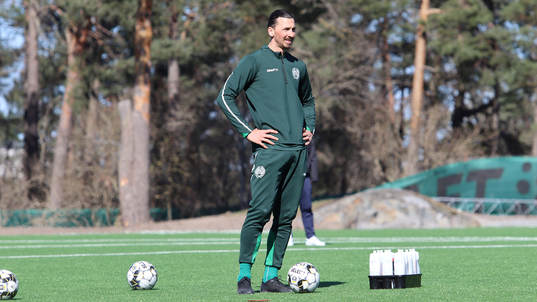 På denna handout-bild från Hammarby Fotboll ses Zlatan