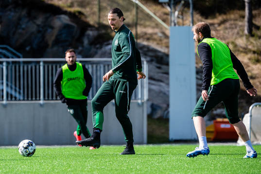 Zlatan Ibrahimovic and Darijan Bojanic participate in a