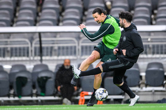 Zlatan Ibrahimovic and Jonathan Tamimi participates in a