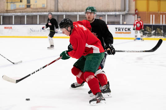 Bröderna Noah Andersson och Lias Andersson