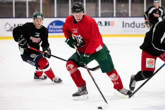 Bröderna Noah Andersson och Lias Andersson