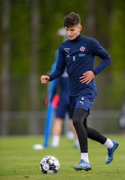 Armin Gigovic