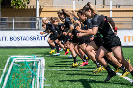 Rosengårds spelare