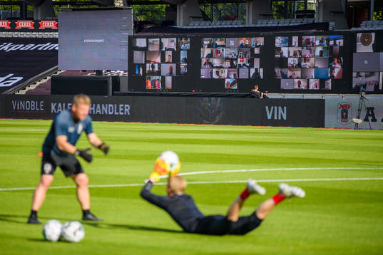 A virtual grandstand with supporters