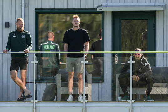 David Fällman, Richard Magyar, and Zlatan Ibrahimovic sees