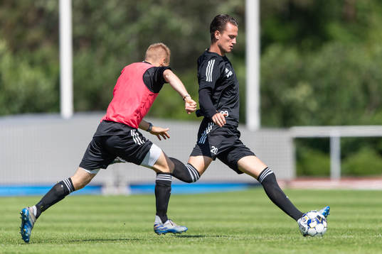 Sander van Looy