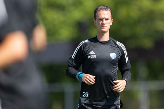Sander van Looy