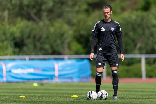 Sander van Looy