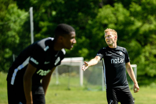 Sebastian Larsson