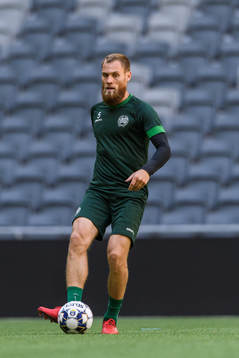 David Fällman