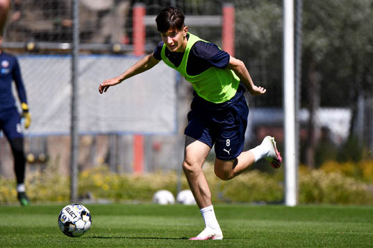 Armin Gigovic