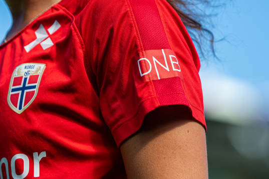 The logo of DNB