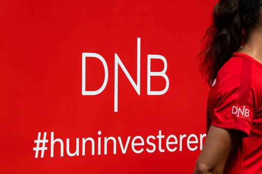 The banner of DNB