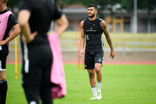 Rami Kaib