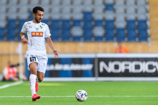 Häckens Daleho Irandust