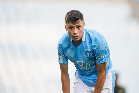 Malmö FFs Anel Ahmedhodzic
