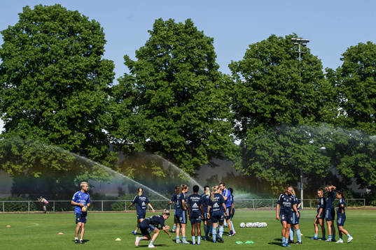 Djurgårdens spelare