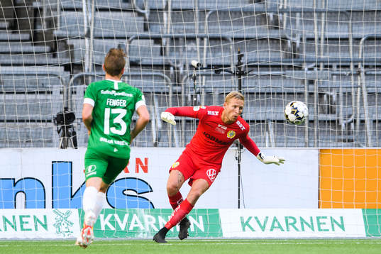 Hammarbys målvakt David Ousted