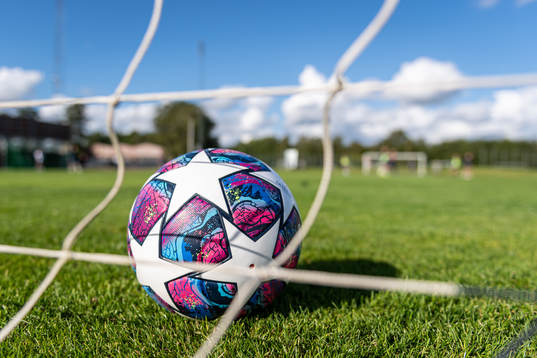 En fotboll ligger i ena målet