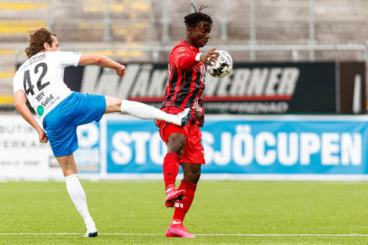Helsingborgs Mix Diskerud