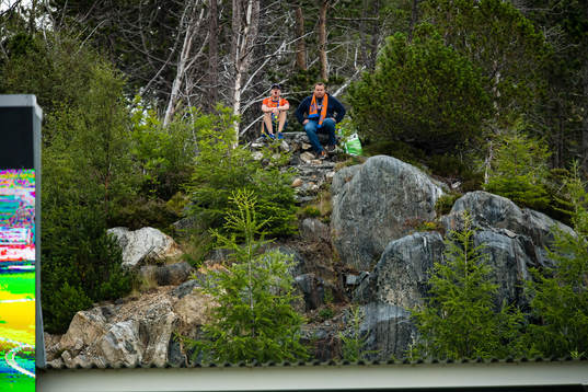 Spectators