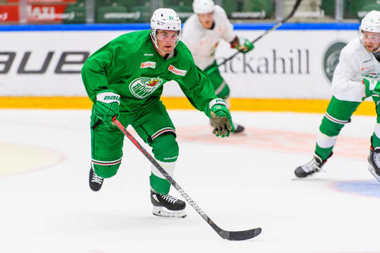 Nils Höglander
