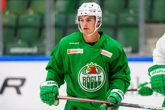 Nils Höglander