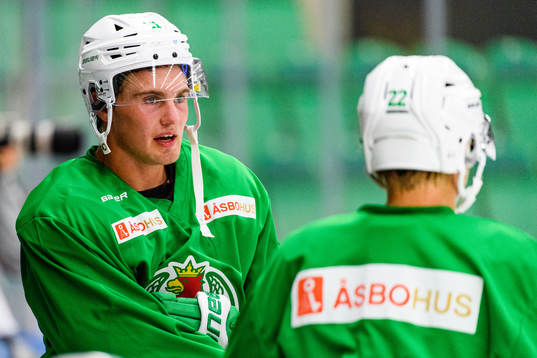 Nils Höglander
