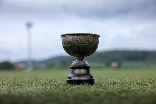 Fässbergs IF, SM-guld pokalen i fotboll från 1924 på