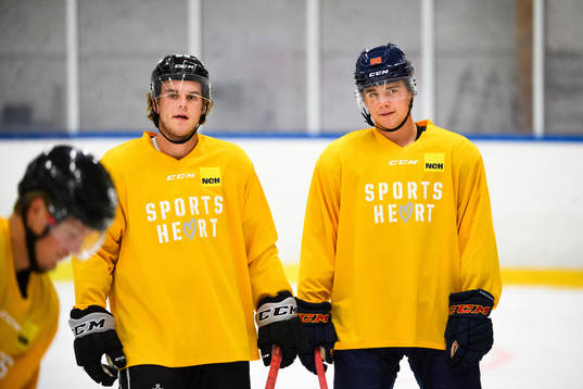 Frölundas Samuel Fagemo och Djurgården Alexander Holtz