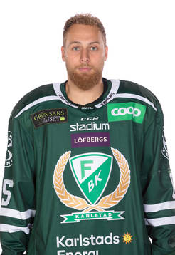 Färjestads Vojtech Mozik