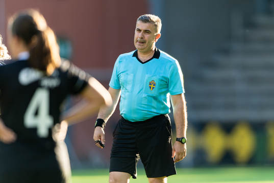 Domare Zeljko Vidakovic
