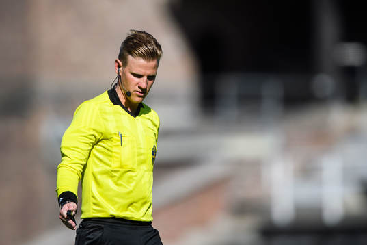 Domare Robin Andersson