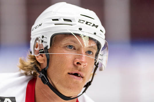 Emil Sylvegård