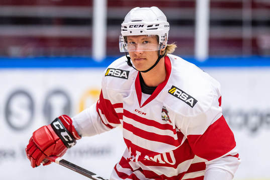 Emil Sylvegård