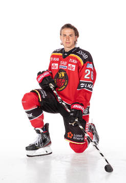 Luleås Radek Muzik
