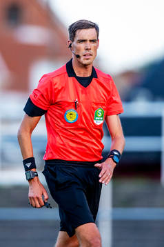Domare Magnus Lindgren