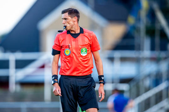 Domare Magnus Lindgren