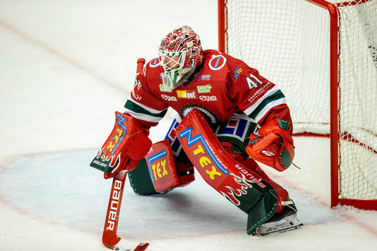 Frölundas målvakt Niklas Rubin