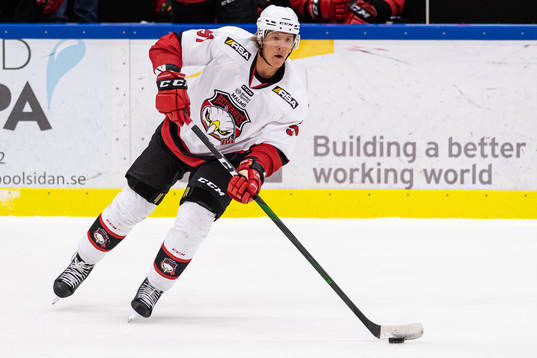 Malmö Redhawks Emil Sylvegård