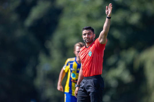 Domare George Jansizian