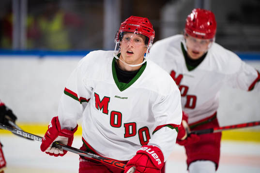 Modos Linus Pettersson