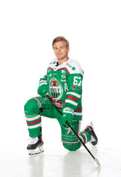 Rögles Leon Bristedt