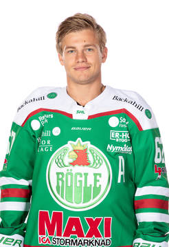 Rögles Leon Bristedt