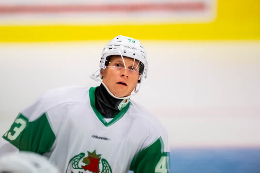 Rögles Olli Palola