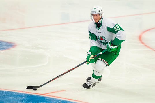 Rögles Olli Palola