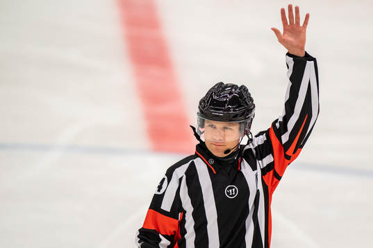 Domare Filip Sandstedt